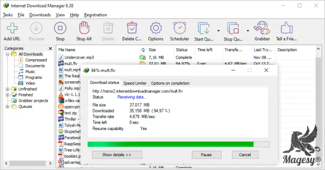 Internet Download Manager v6.42 Build 26 WiN-OneClick